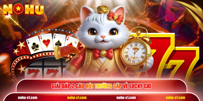 Giải đáp 2 câu hỏi thường gặp về Lucky Cat