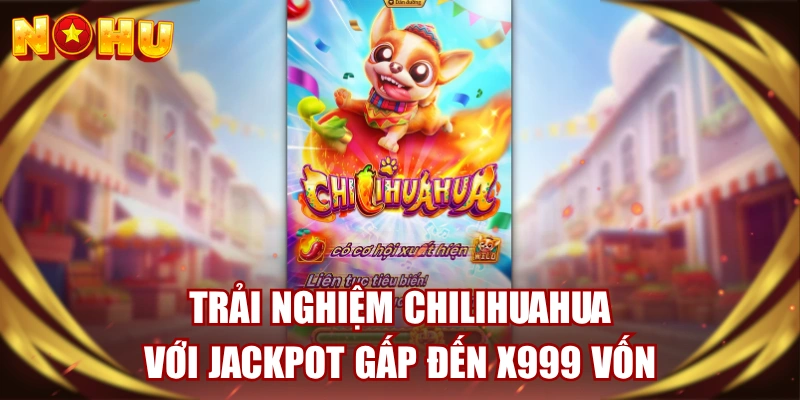 trải nghiệm chilihuahua